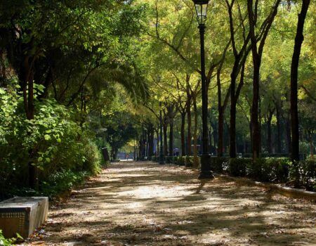 El Parque de María Luisa se muere