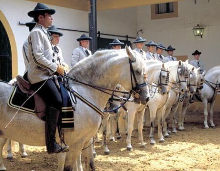 «Como bailan los caballos andaluces», este miércoles en la Maestranza