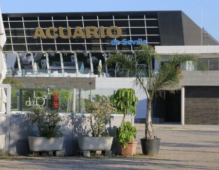 El acuario ampliará sus instalaciones en 300 metros cuadrados y abrirá el auditorio