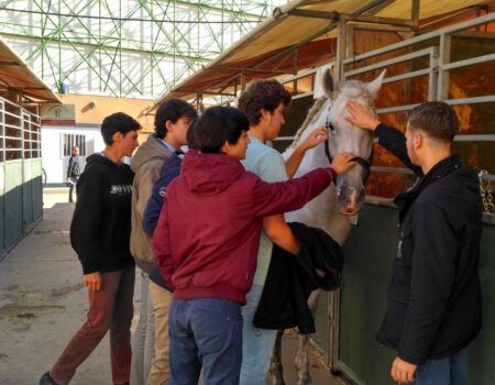 El SICAB fomenta el mundo ecuestre entre los jóvenes sevillanos