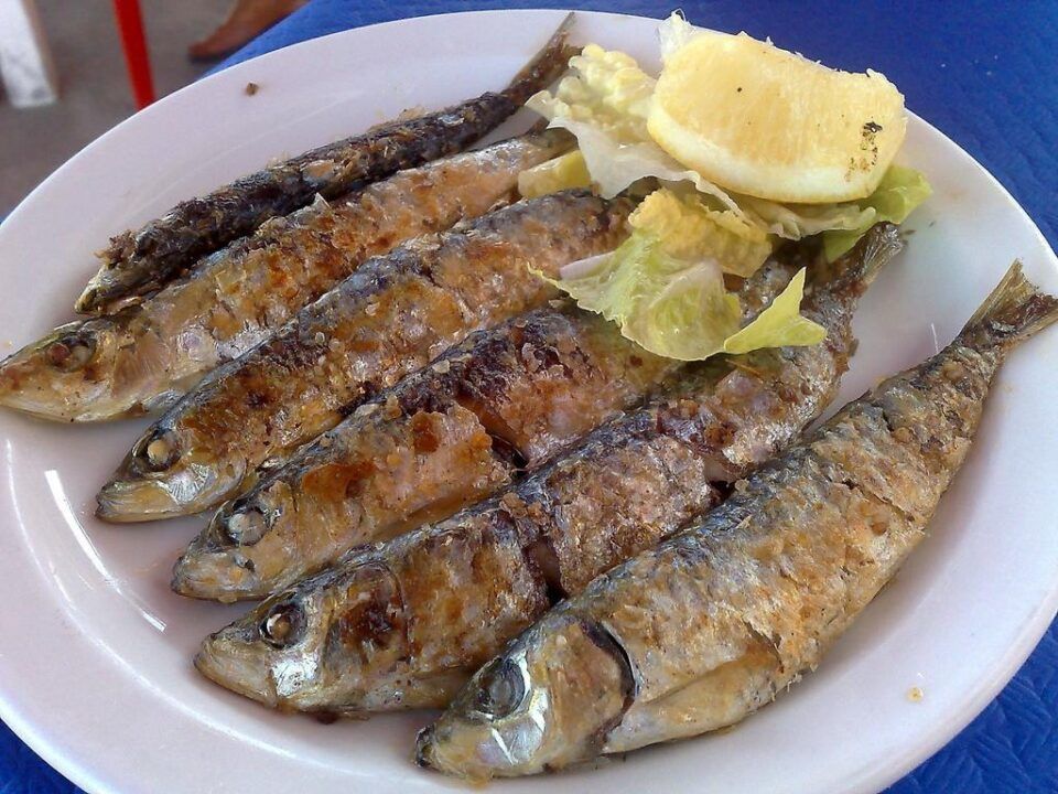 Sardinas