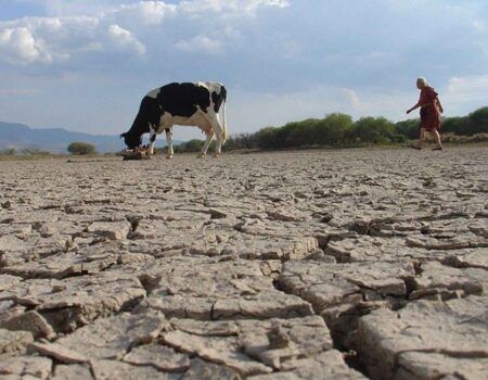 La Junta se reúne con usuarios del agua con la sequía como principal problema