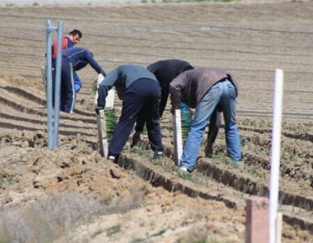 El Gobierno reducirá las peonadas para acceder al subsidio agrario