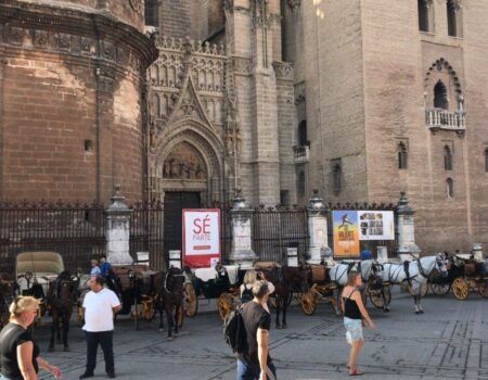 La Plaza Virgen de los Reyes, convertida en un establo