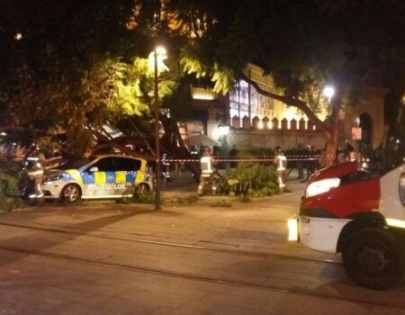 Cae un árbol sobre un patrullero de la Policía Local, sin producir heridos