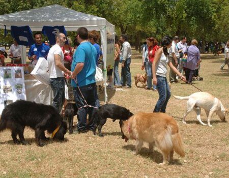 El Parque del Alamillo acoge el I Encuentro de Adopción Solidaria de Mascotas