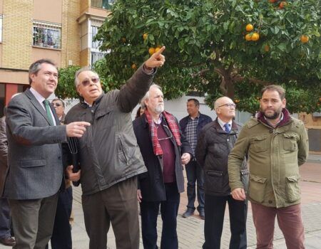 El Ayuntamiento inicia los trámites de recepción de barriadas