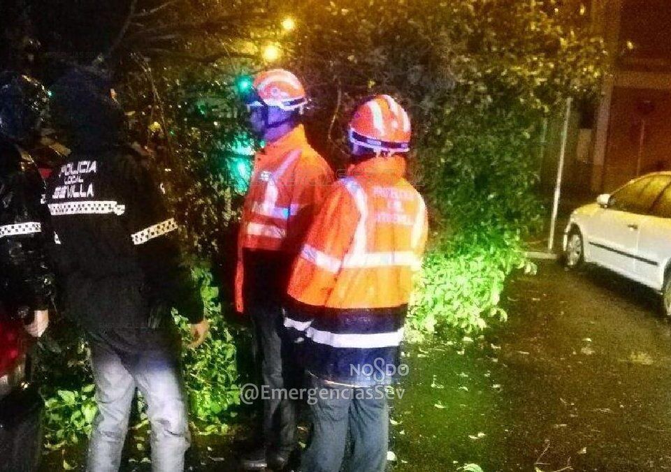 Numerosas incidencias por las lluvias en Sevilla.