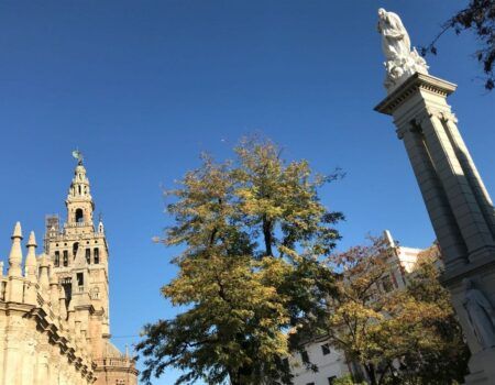 Vigilia de la Inmaculada en honor a la patrona de España y de la juventud