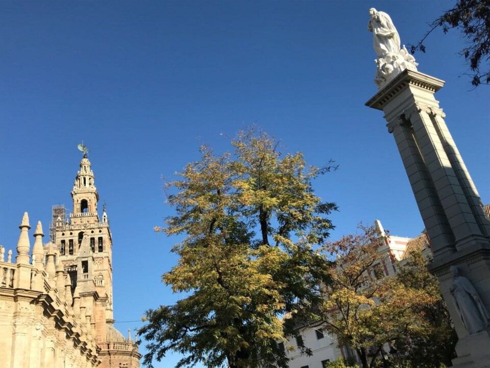 Vigilia de la Inmaculada.