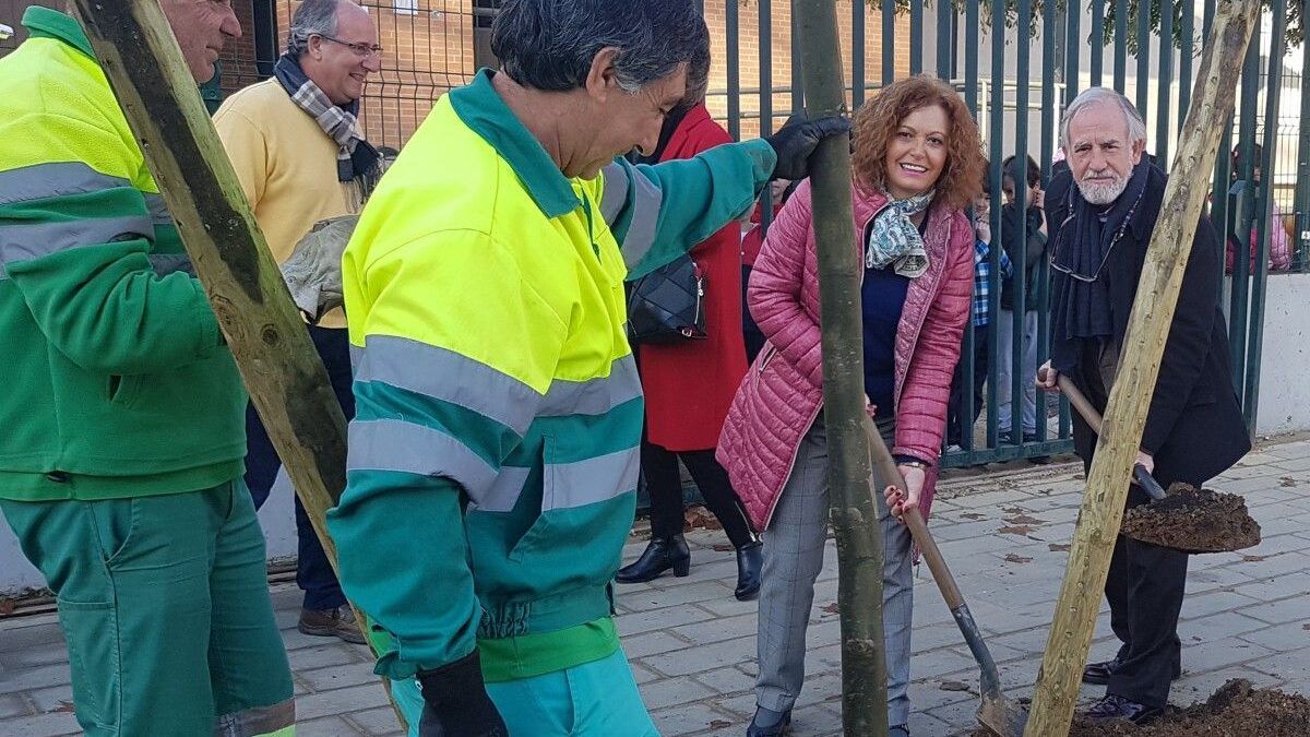 Los 400 nuevos árboles han comenzado a plantarse en la zona Este de la ciudad