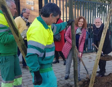 El Ayuntamiento planta 400 nuevos árboles, ahora en Sevilla Este y Torreblanca