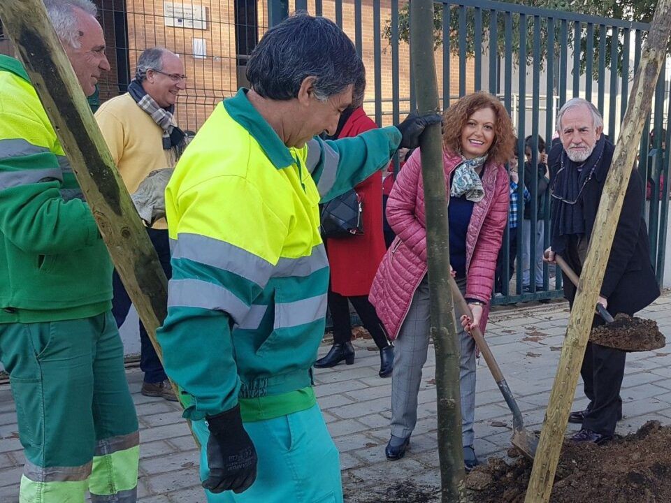 Los 400 nuevos árboles han comenzado a plantarse en la zona Este de la ciudad