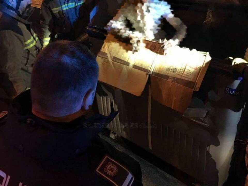 El hombre ha estado a punto de ser prensado por el camión de Lipasam