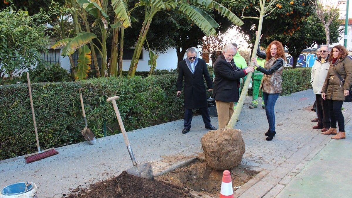 Foto plantación árboles Distrito Macarena