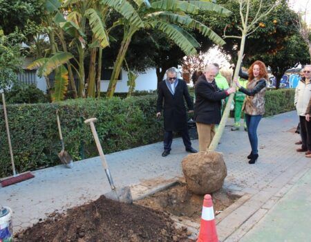 El millonario contrato de zonas verdes comienza en marzo con la plantación de 7.000 árboles