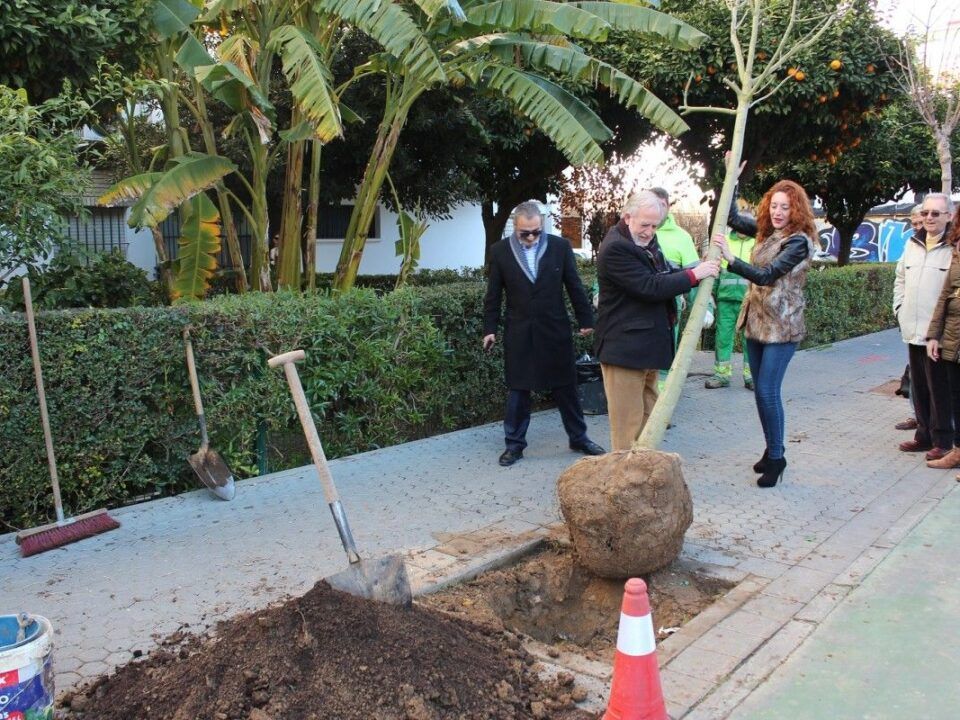 Foto plantación árboles Distrito Macarena