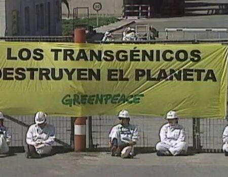 Greenpeace vive del hambre y enfermedad en el Tercer Mundo