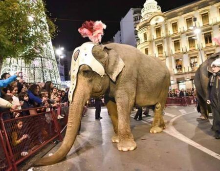 El PACMA quiere evitar animales en las cabalgatas de Reyes