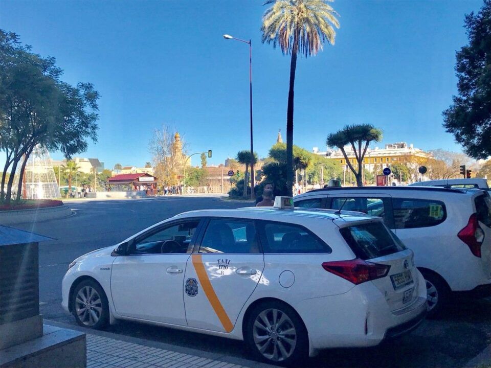 La Policía Local detecta nuevas irregularidades en el sector del taxi.
