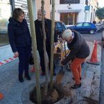 El Ayuntamiento continúa la campaña de replantación de árboles, ahora en Nervión