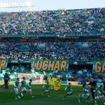 El Real Betis supera los 16.000 socios y el 85% con asiento opta por el abono Europa