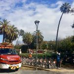 Suspendido provisionalmente el tranvía ante el riesgo de caída de un arbol