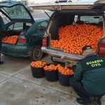 La Guardia Civil desarticula la mayor organización dedicada a robos en el campo