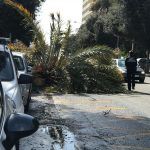 El viento provoca casi medio millar de incidencias poniendo a prueba los servicios de emergencias