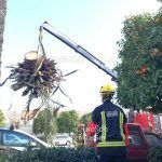 El viento vuelve a azotar la ciudad y deja más 400 incidencias y dos heridos en pocas horas