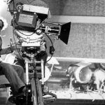 El Festival de Cine de Sevilla dedica el mes de la francofonía a la educación cinematográfica