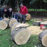 Trabajos contra reloj y refuerzos en el Parque de María Luisa para facilitar su reapertura