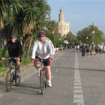Ocho millones de euros para mejorar y ampliar la red de carril bici de Sevilla