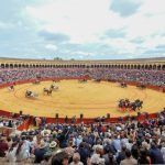 Los animalistas pedirán al Ayuntamiento declarar Sevilla antitaurina