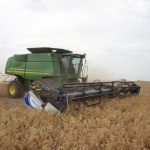 Sevilla produce el 60% de garbanzos de Andalucía