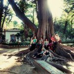 En marcha el plan de saneamiento del arbolado del Parque de María Luisa