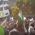 El SAT indemniza a un militante de VOX al que causó lesiones en la manifestación de Marea Blanca