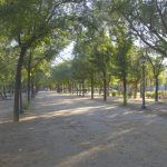 Preparan un Plan Director de mejora del Parque Amate