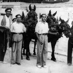 La caravana