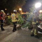 Un herido y varios contusionados al caer una rama de un árbol sobre los veladores de un bar