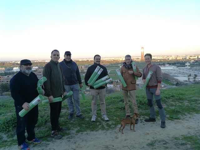 Miembros de Sevillasemueve, recientemente, replantando 1800 árboles en el Cerro del Carambolo