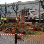 Participa denuncia una tala «masiva» de árboles en la plaza del Pumarejo