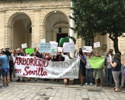 Concentración en el Ayuntamiento y miles de firmas recogidas contra el «arboricidio»