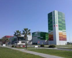 Heineken encadena su cuarto año consecutivo de crecimiento en ventas, empleo e inversión