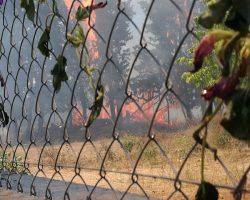 Vecinos huyen de sus casas en Espartinas ante los incendios que se reproducen por tercer día consecutivo
