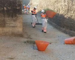 Lipasam retira casi tonelada y media de basura en el adarve de la Muralla de la Macarena