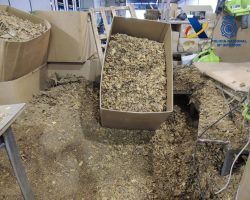 Desarticulada una organización criminal dedicada al contrabando de tabaco en Alcalá de Guadaíra