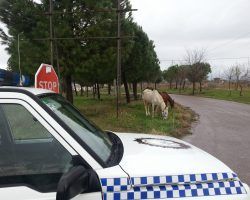 La ruina de un pueblo. Huévar se queda con sólo dos agentes de Policía Local