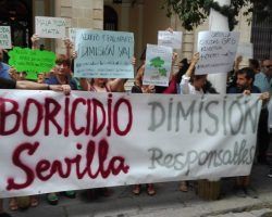 Ciudadanos, Participa e IU solicitan la creación de una comisión de investigación sobre el «arboricidio»