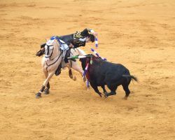 Puerta grande para Diego Ventura en la que cierra la temporada taurina en El Puerto